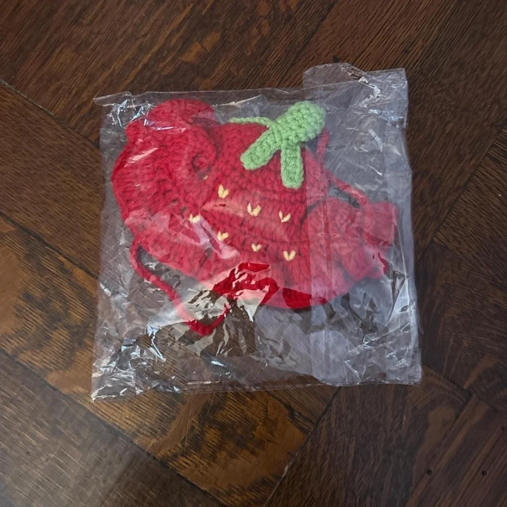 NWT Crochet Strawberry Pet Hat